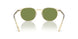 109452 - Yellow - Green C
