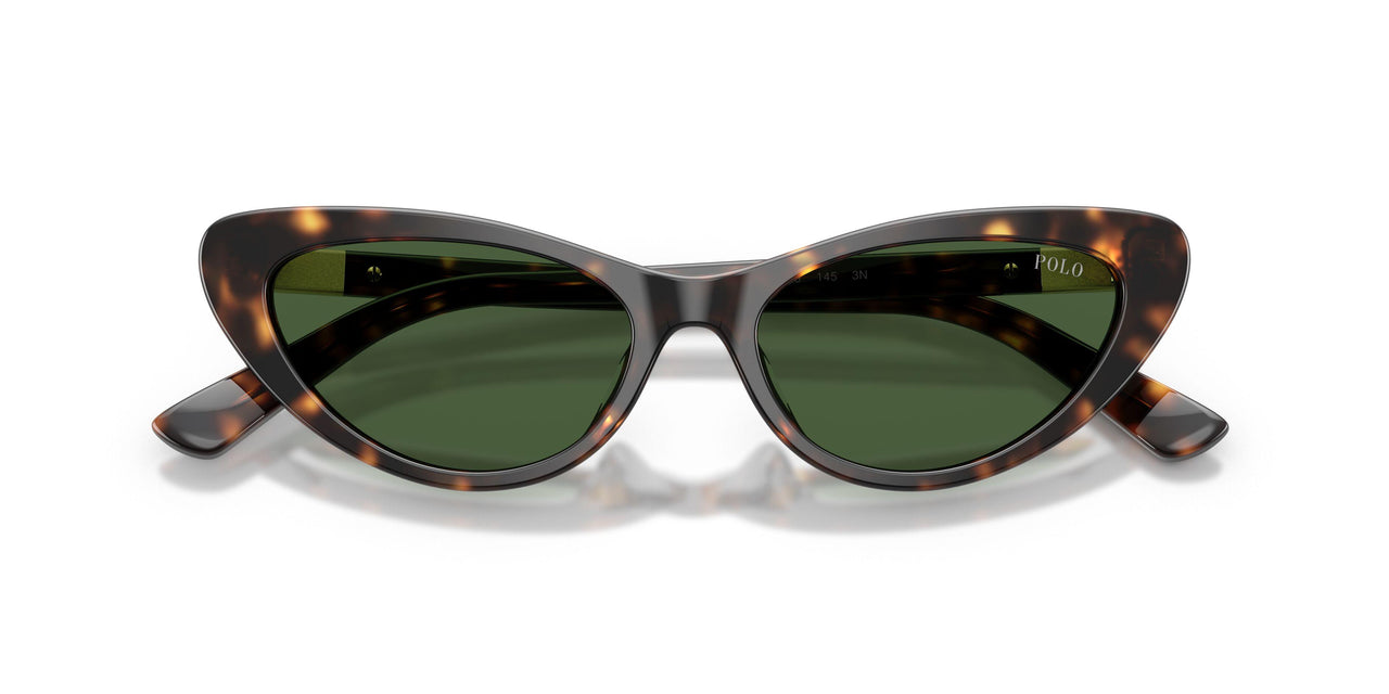 500371 - Tortoise - Bottle Green