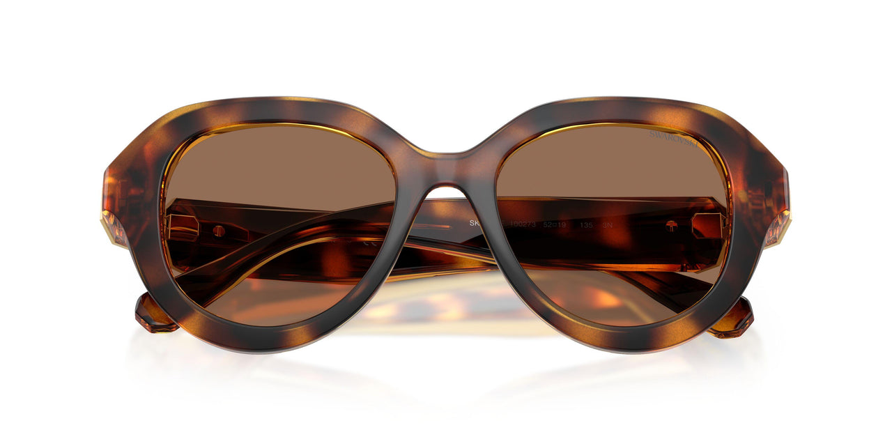 100273 - Tortoise - Dark Brown