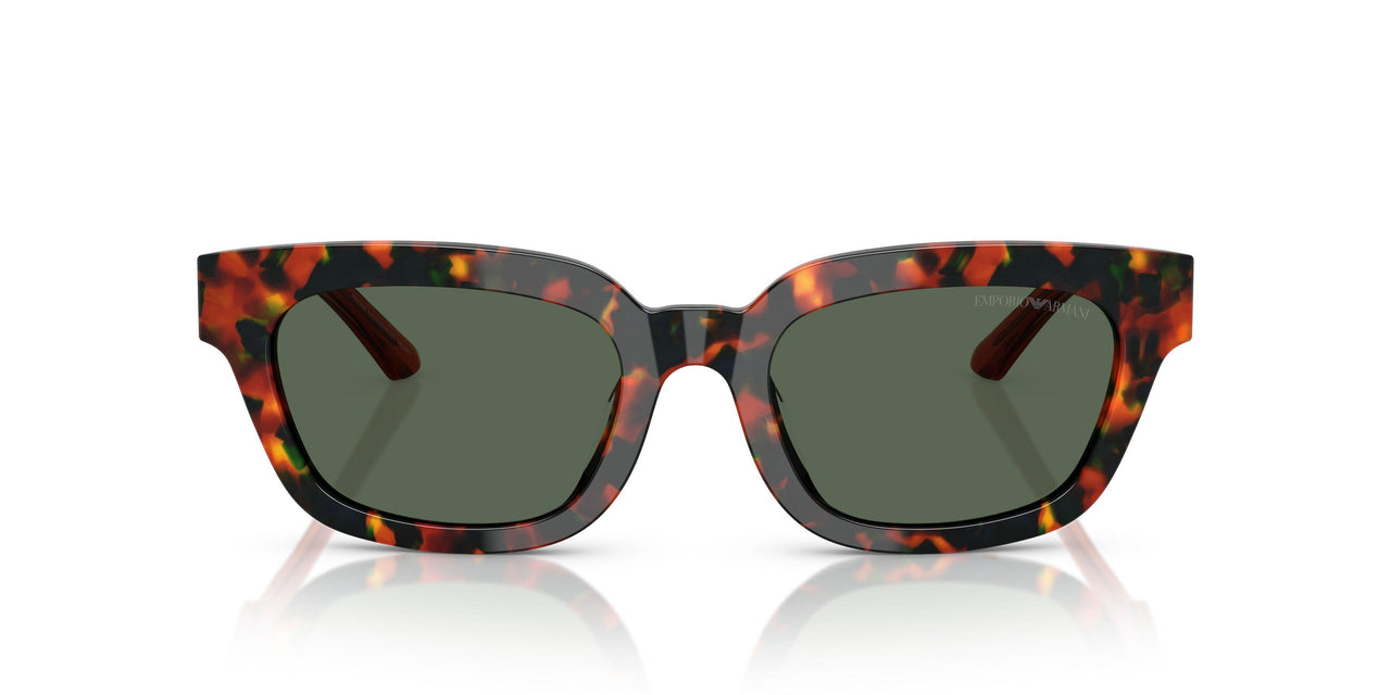 618271 - Tortoise - Dark Green