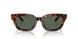 618271 - Tortoise - Dark Green
