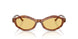 511485 - Brown - Yellow