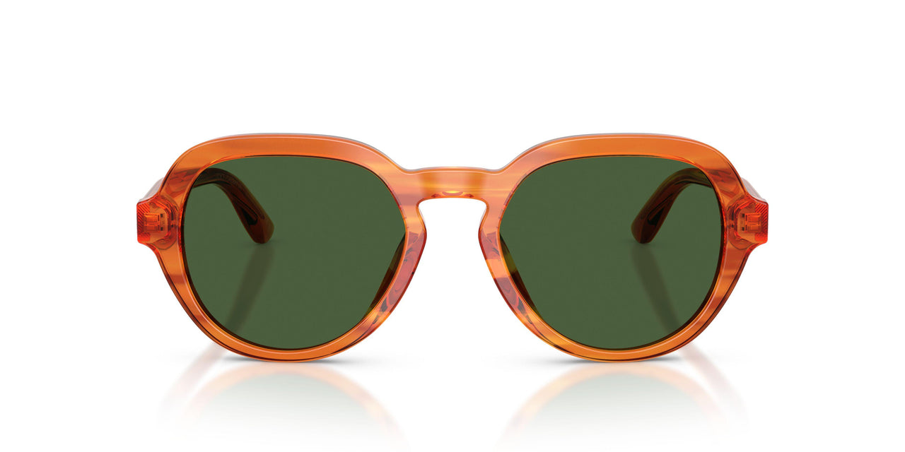 348371 - Light Brown - Dark Green