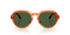 348371 - Light Brown - Dark Green