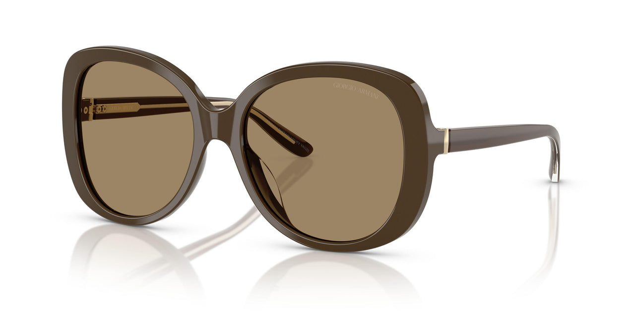 595753 - Brown - Brown