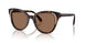 100273 - Brown - Dark Brown