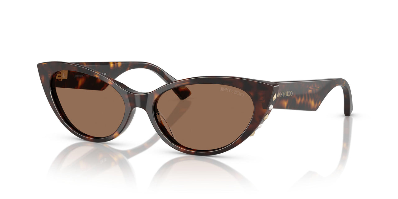 500273 - Tortoise - Dark Brown