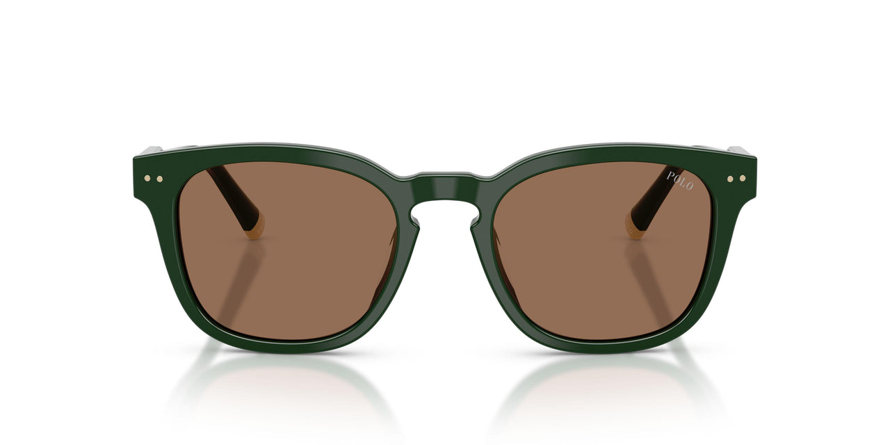 614073 - Green - Dark Brown