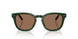 614073 - Green - Dark Brown