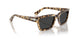 105648 - Tortoise - Polar Black