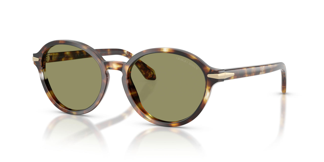 623214 - Tortoise - Green
