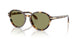 623214 - Tortoise - Green