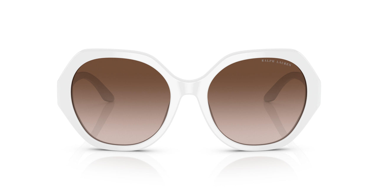 554413 - White - Gradient Brown