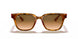 647551 - Yellow Light Havana - Clear Gradient Brown