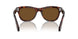 24/57 - Tortoise - Polarized Brown