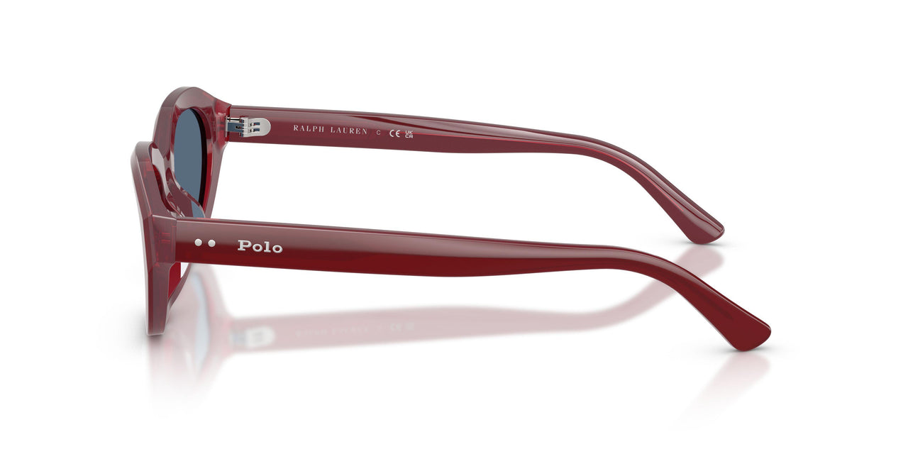 639280 - Red - Dark Blue