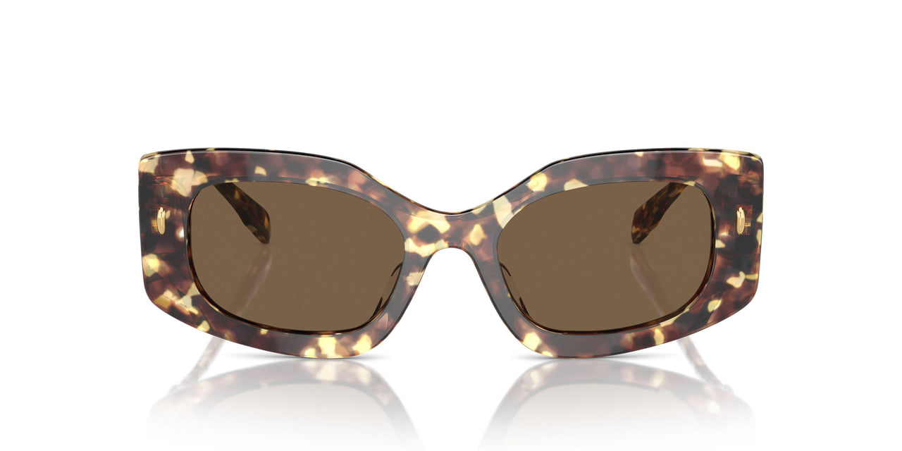 199573 - Tortoise - Dark Brown