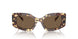 199573 - Tortoise - Dark Brown