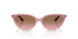 325814 - Pink - Pink Gradient Brown