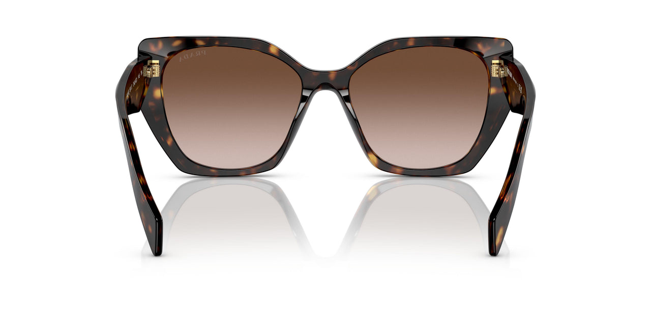 2AU6S1 - Havana - Brown Gradient