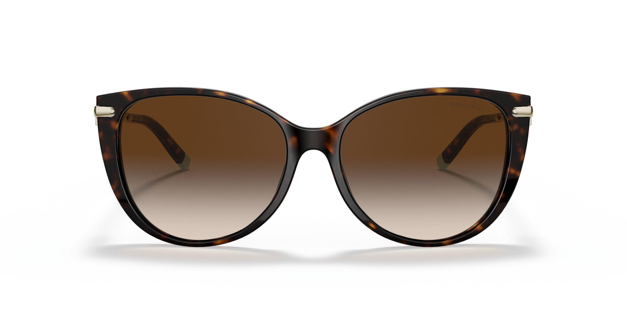 80153B - Havana - Brown Gradient