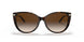 80153B - Havana - Brown Gradient