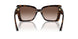 500213 - Tortoise - Gradient Brown