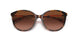 39043B - Havana - Brown Gradient