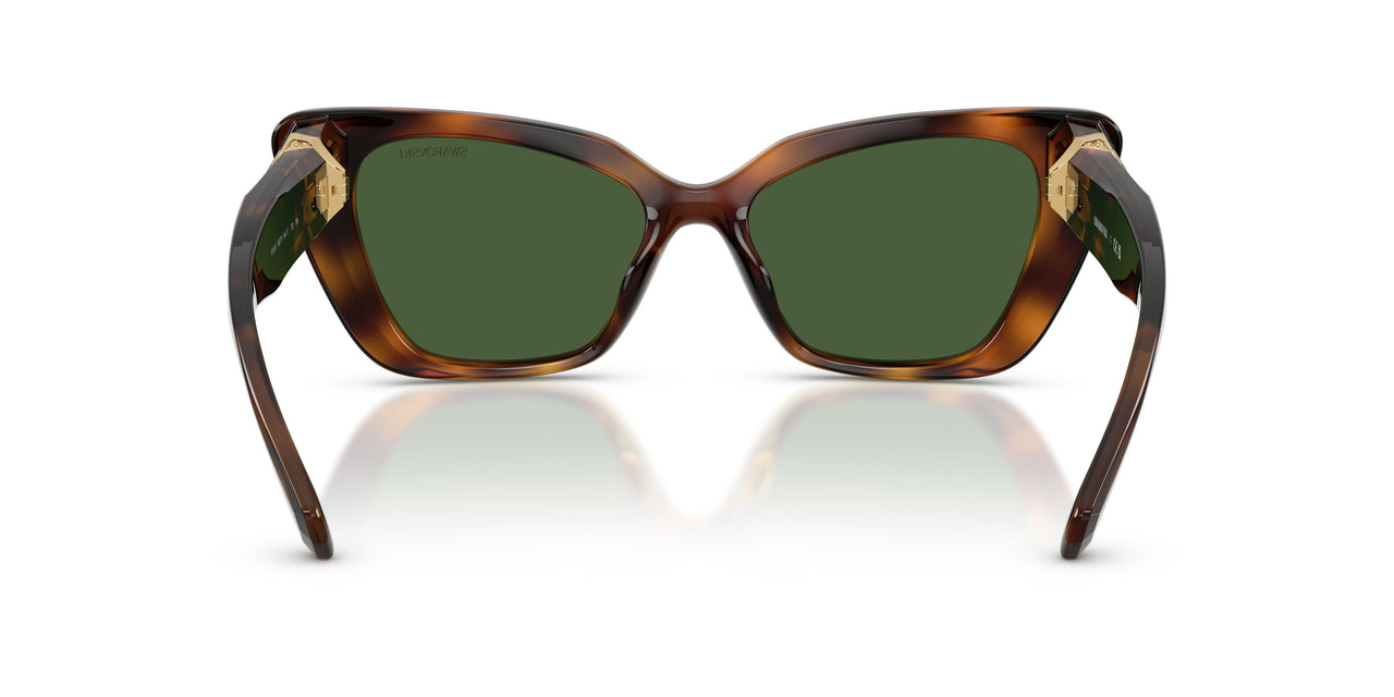100271 - Tortoise - Dark Green