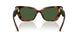 100271 - Tortoise - Dark Green