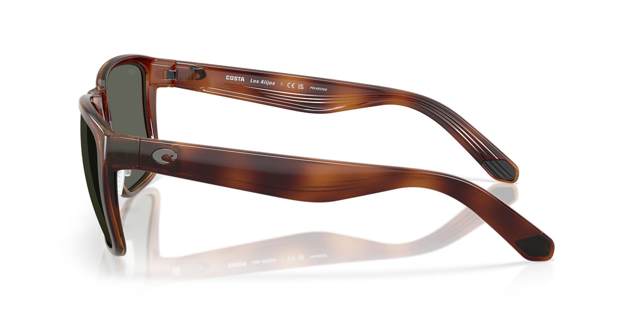 912605 - Tortoise - Gray