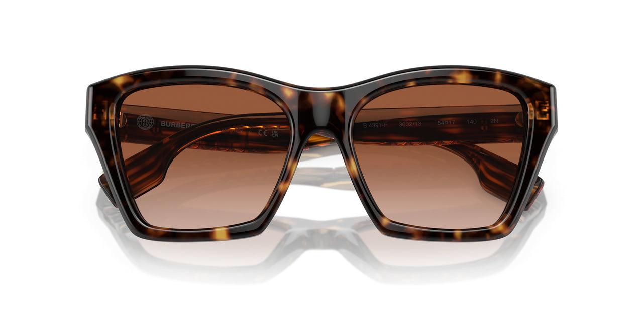 300213 - Brown - Brown Gradient