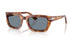 106/56 - Tortoise - Light Blue