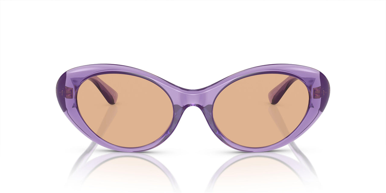 5353/3 - Violet - Dark Brown