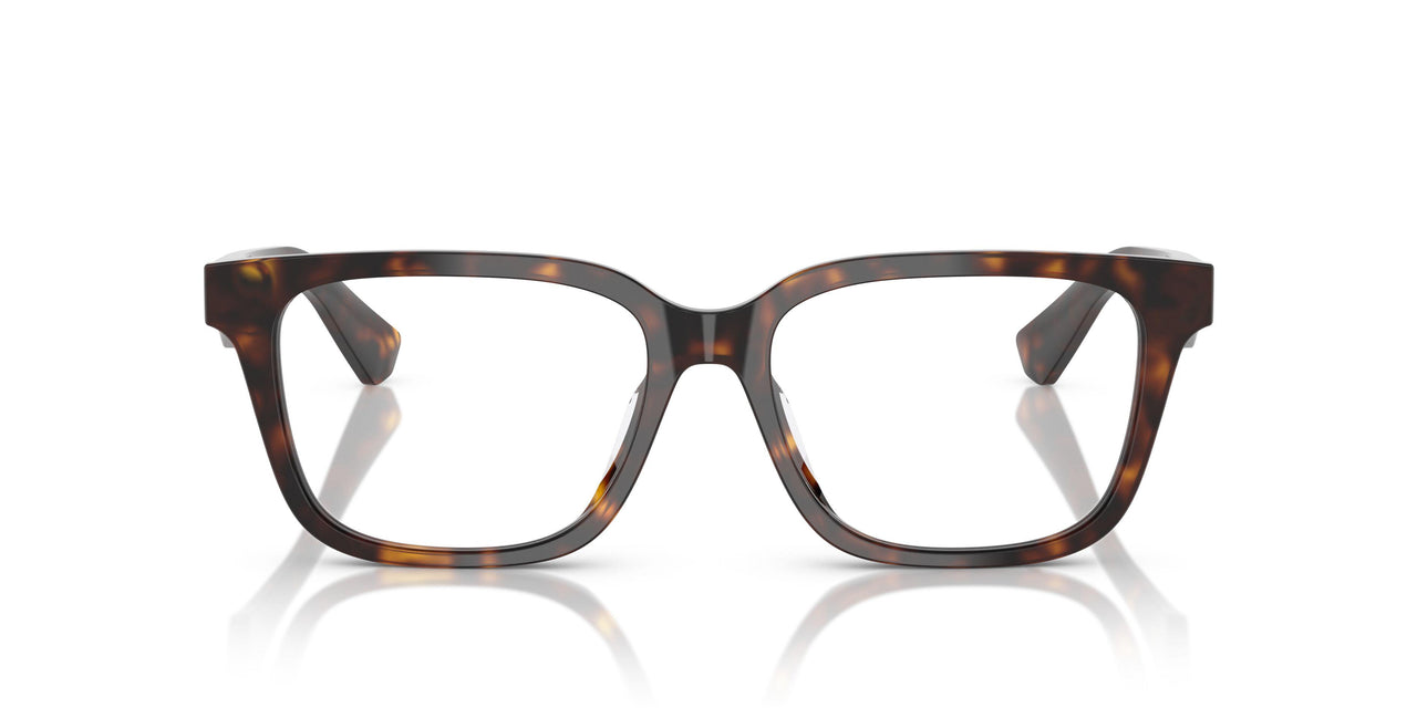3002 - Brown