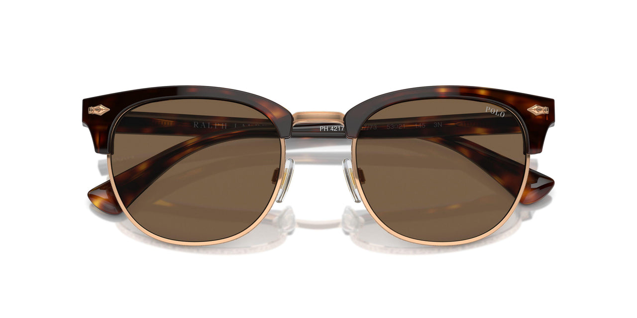 613773 - Tortoise - Brown