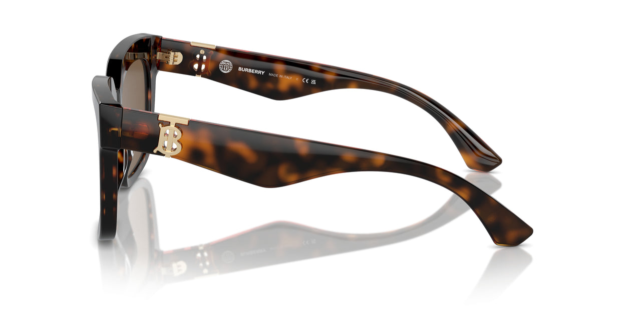 300273 - Brown - Dark Brown