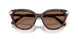 100273 - Tortoise - Dark Brown