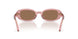 202173 - Pink - Solid Brown