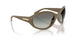 317511 - Brown - Gradient Grey