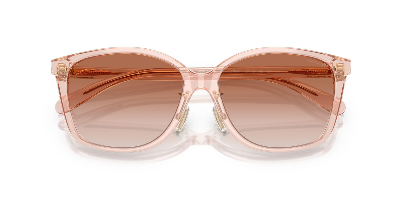 566813 - Pink - Brown Pink Gradient