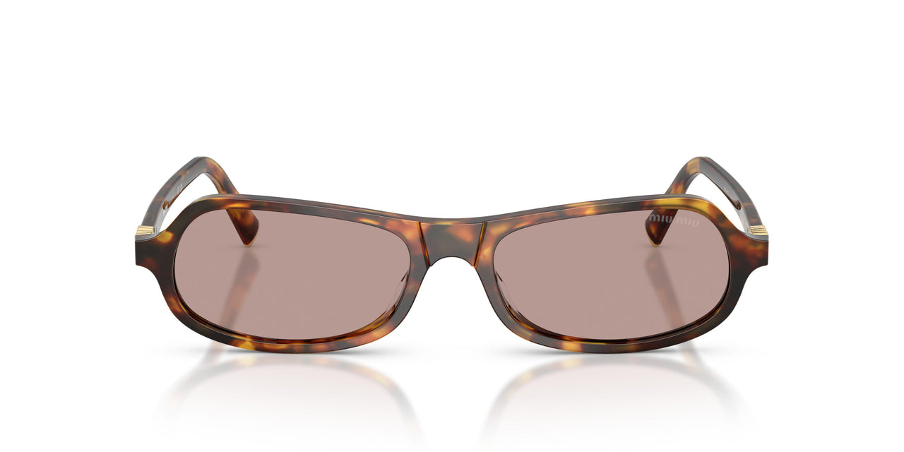 14L20I - Tortoise - Light Purple Brown