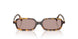 14L20I - Tortoise - Light Purple Brown