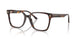 5002 - Tortoise