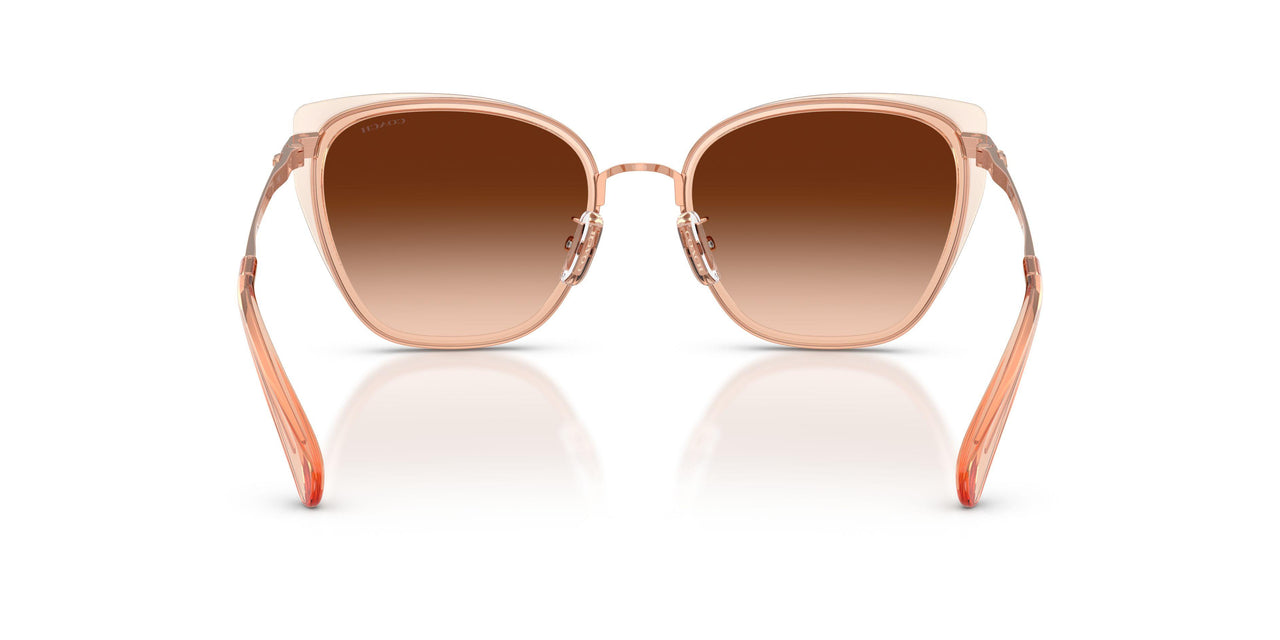 948774 - Brown - Brown Gradient