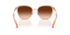 948774 - Brown - Brown Gradient