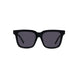 01A - Shiny Black - Grey