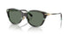 Tiffany 4267F Sunglasses