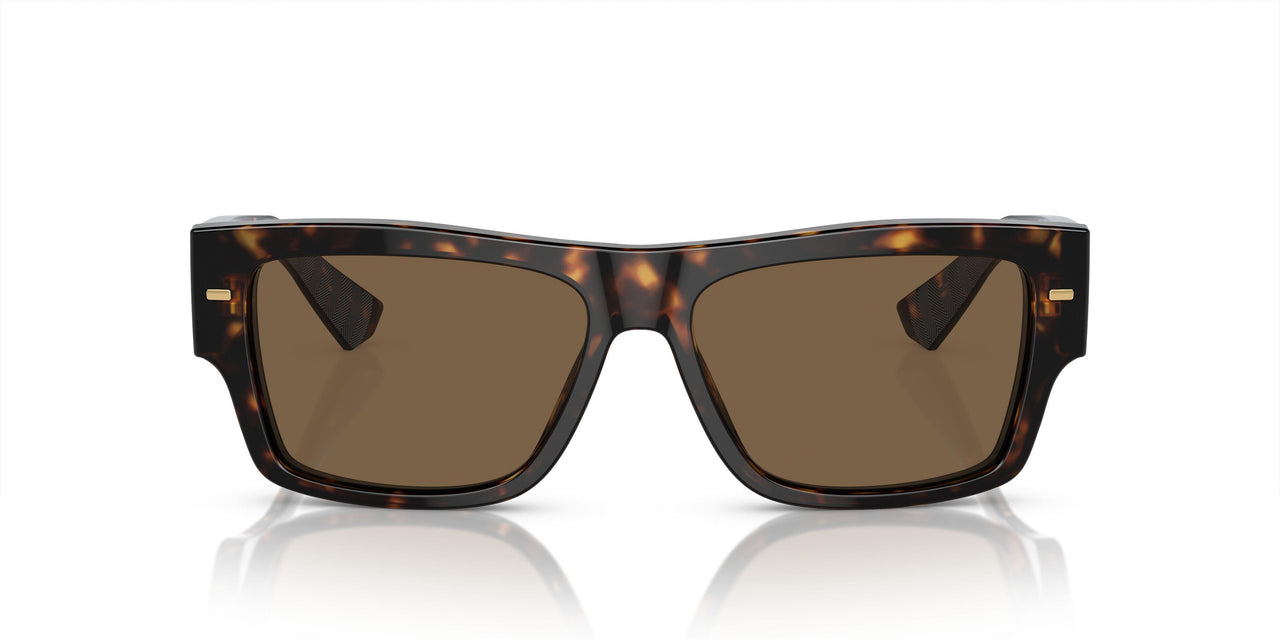 502/73 - Tortoise - Dark Brown