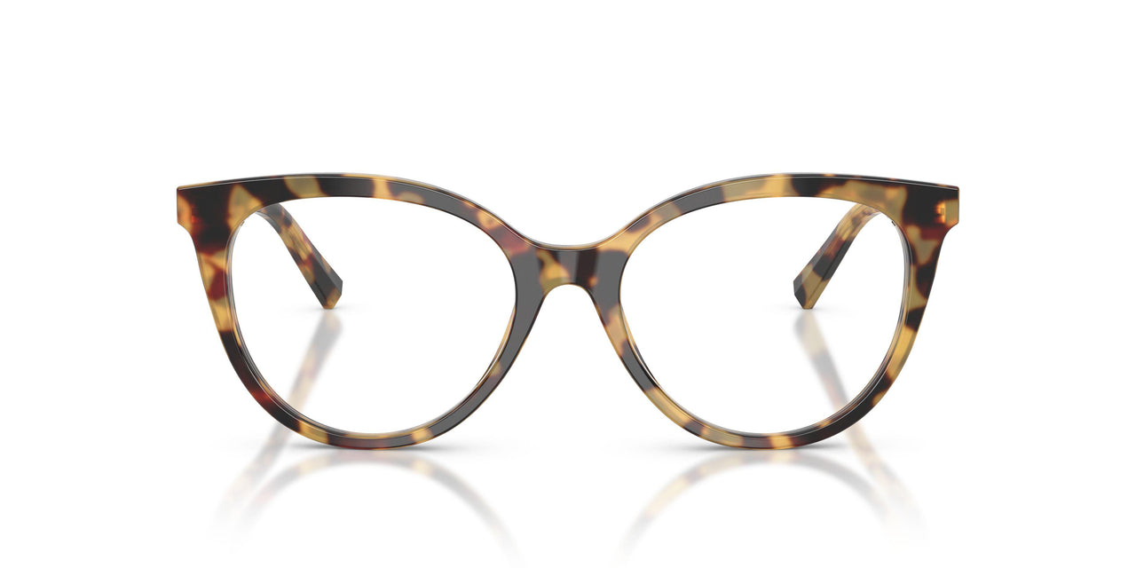 8064 - Tortoise